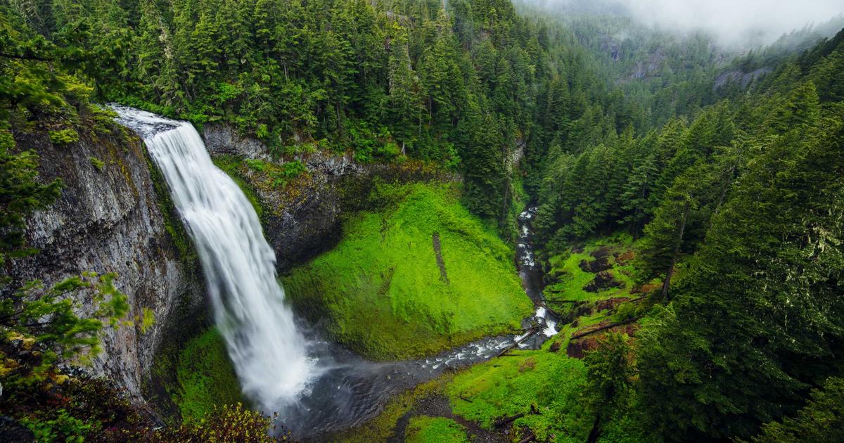 屋根業者の見積もりが会社で倍も違う理由を建築士が解説